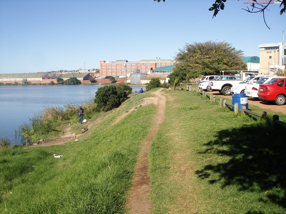 The lake edge today: informal foot paths, fishing and gravel parking